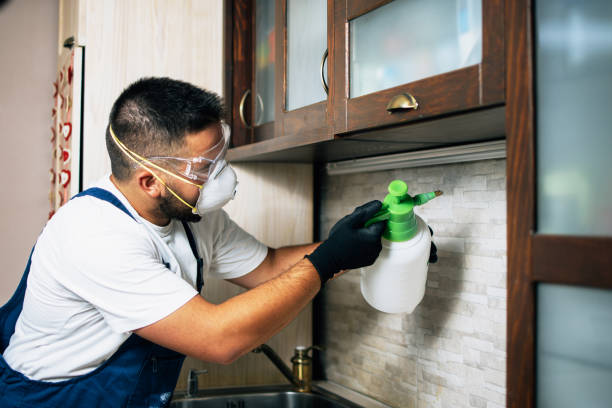 Insect Control in Tonawanda, NY