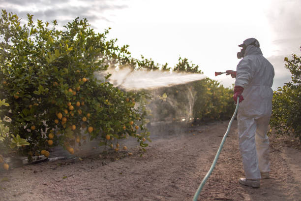 Best Pest Removal Services  in Tonawanda, NY