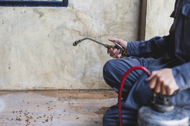 Best Pest Control for Restaurants  in Tonawanda, NY