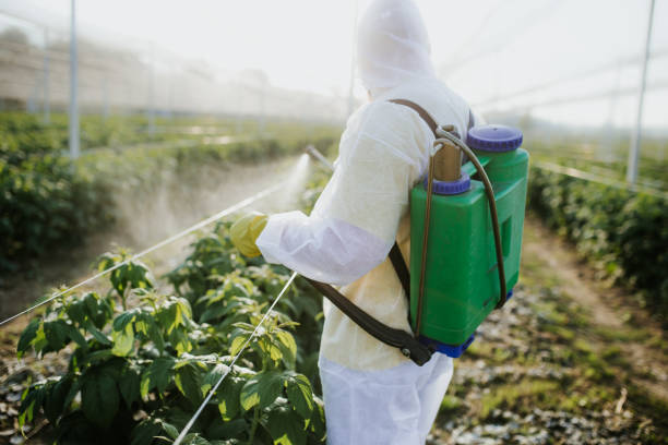 Flea Control Services in Tonawanda, NY